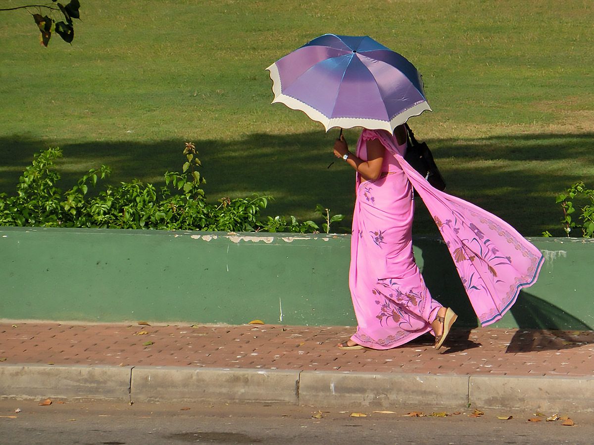 Anders Johansson, The pink dress